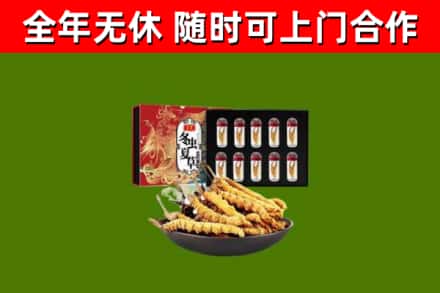 楚雄烟酒回收冬虫夏草礼盒.jpg